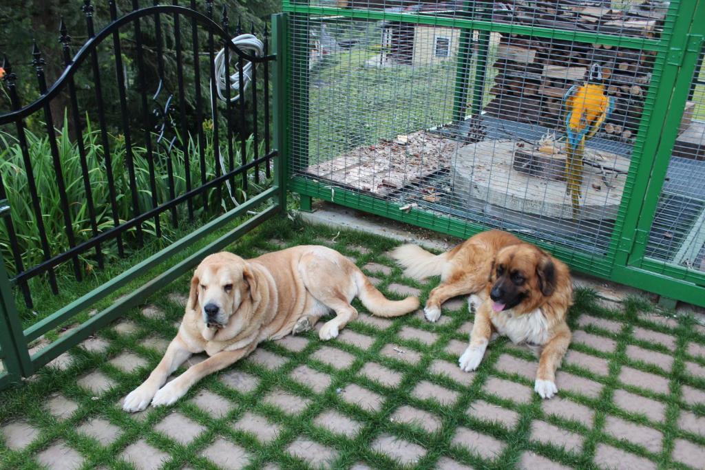 Apartmany A Chalupa Tara Albrechtice v Jizerskych horach Dış mekan fotoğraf